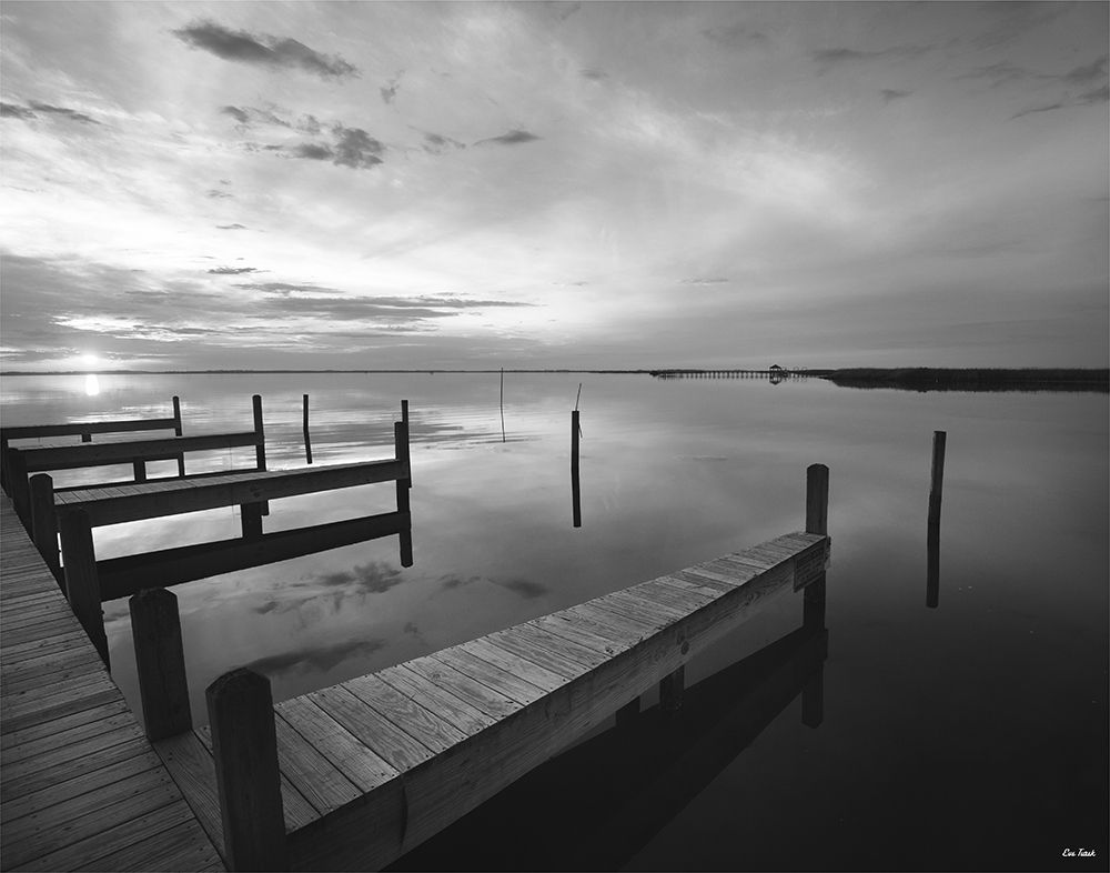 Art Print: Lead the Way