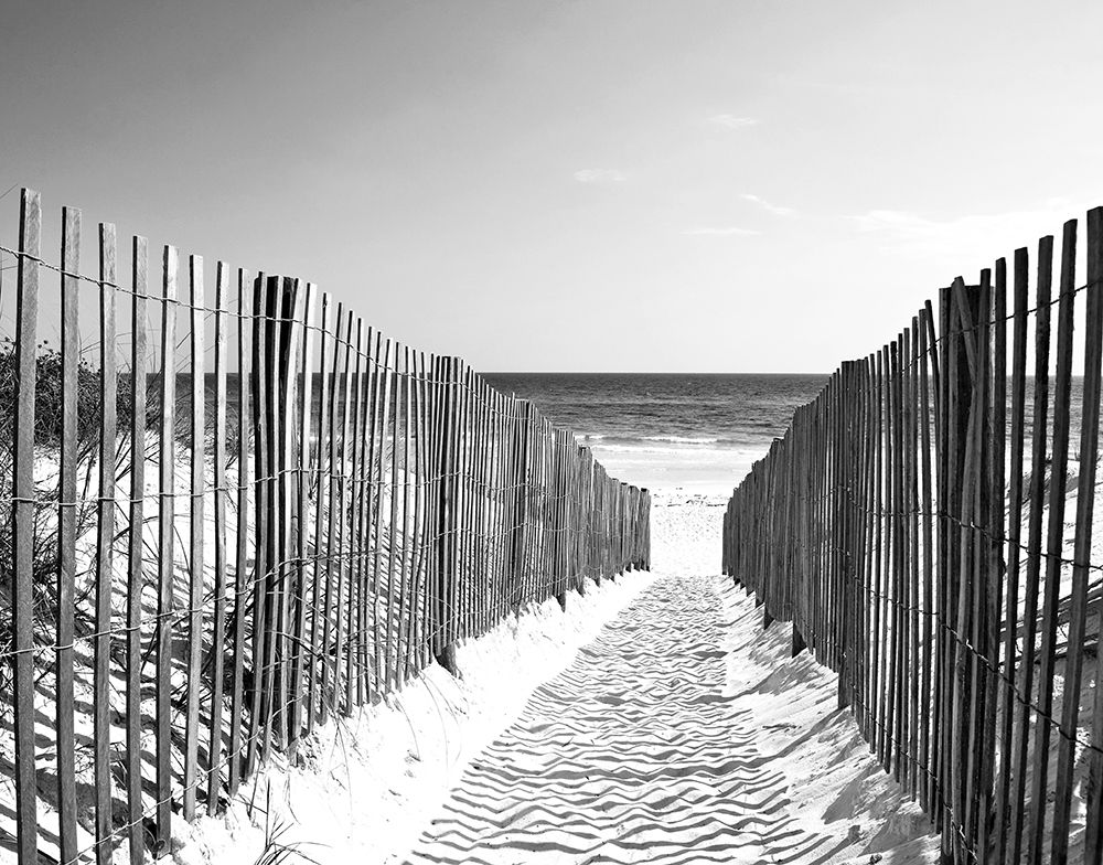 Art Print: Coastal Path