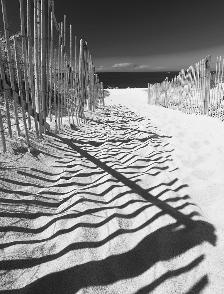 Wall art: Shadowed Pathway, by Anonymous