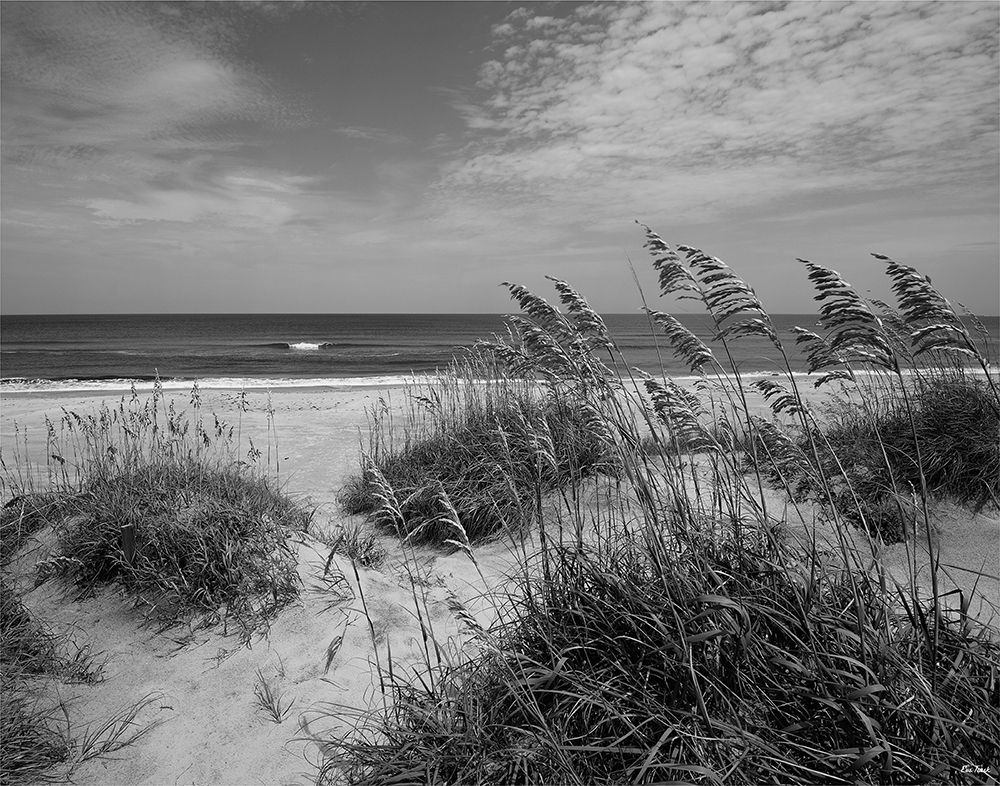 Art Print: The Blessing Place