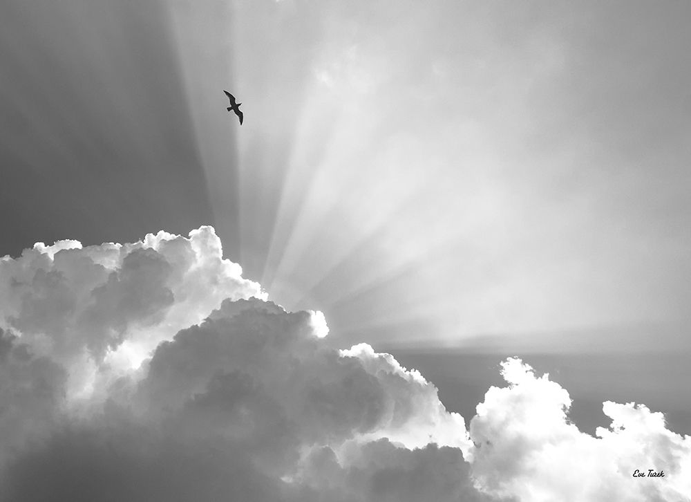 Wall Art Painting id:240406, Name: Heavenly, Artist: Turek, Eve