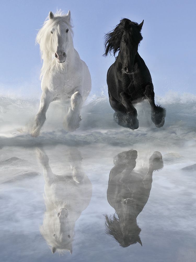 Wall art: Salt and Pepper, by Makarova, V.