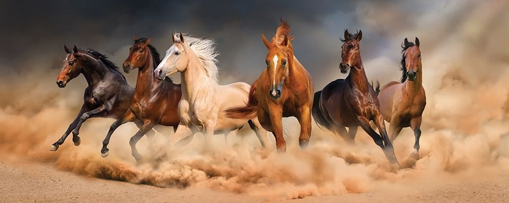 Wall art: Desert Run, by Svetlana