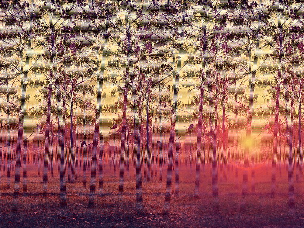 Wall art: Poplar Trees in the Setting Sun, by Anonymous