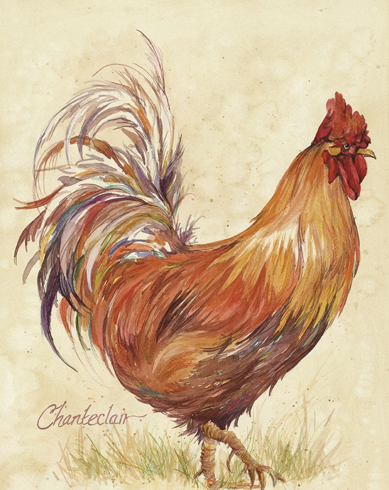 Wall art: Chanteclair, by Unknown