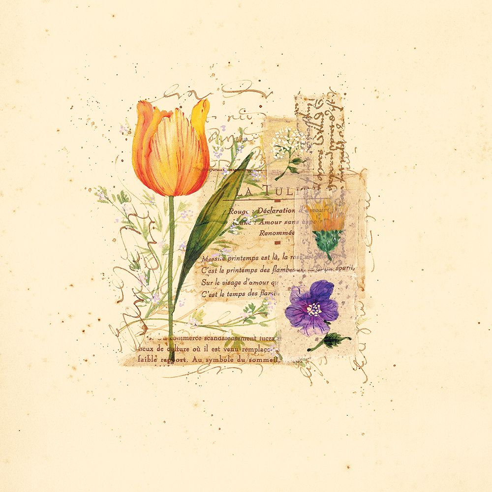 Art Print: Parisian Tulip I