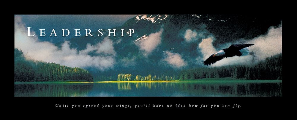 Wall Art Painting id:242277, Name: Leadership - Eagle, Artist: Frontline