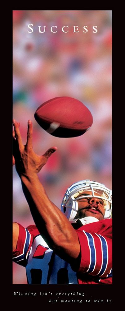 Wall Art Painting id:242291, Name: Success - Football, Artist: Frontline