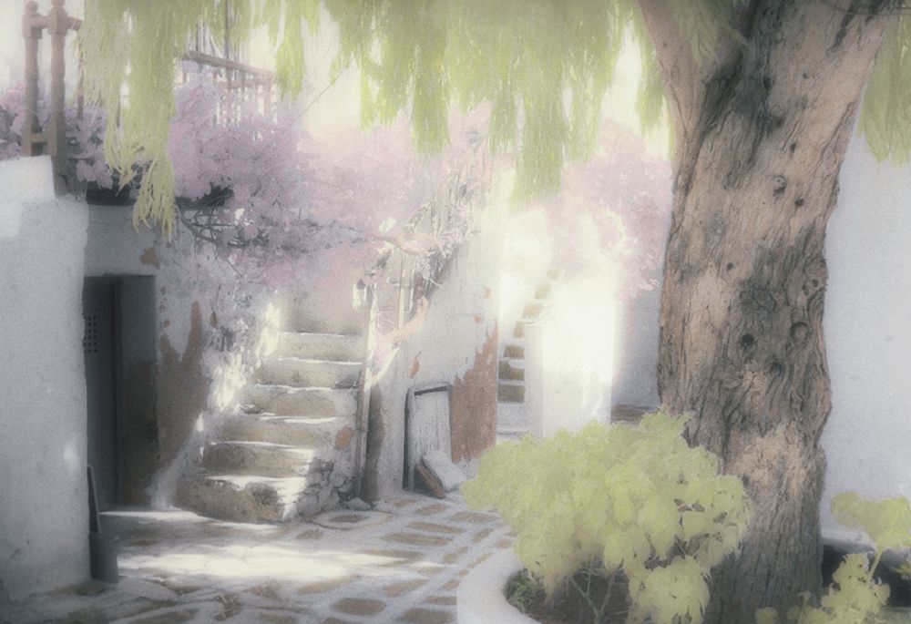 Art Print: Stairs and Tree