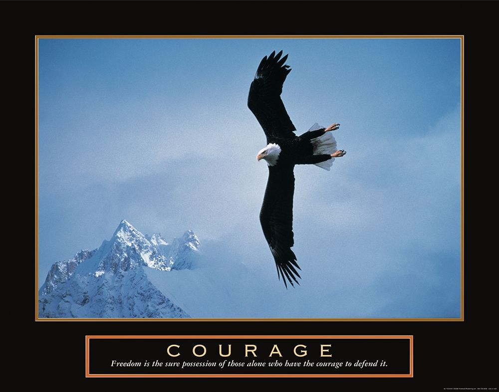 Wall Art Painting id:298988, Name: Courage - Eagle, Artist: Unknown