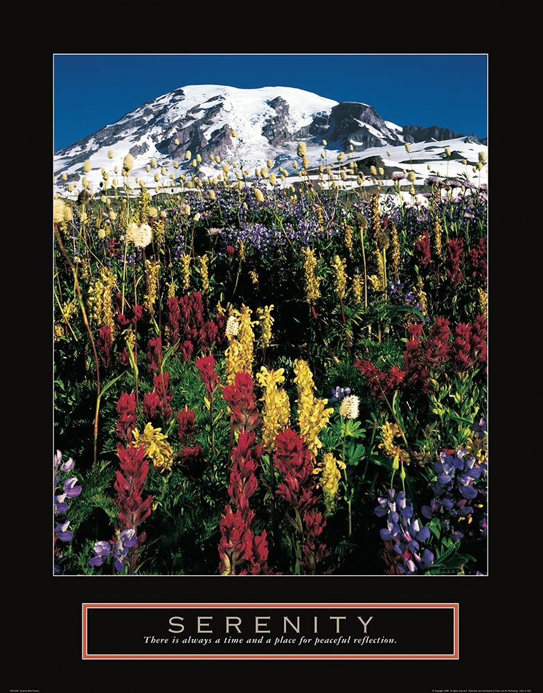 Wall Art Painting id:242308, Name: Mount Rainier, Artist: Frontline