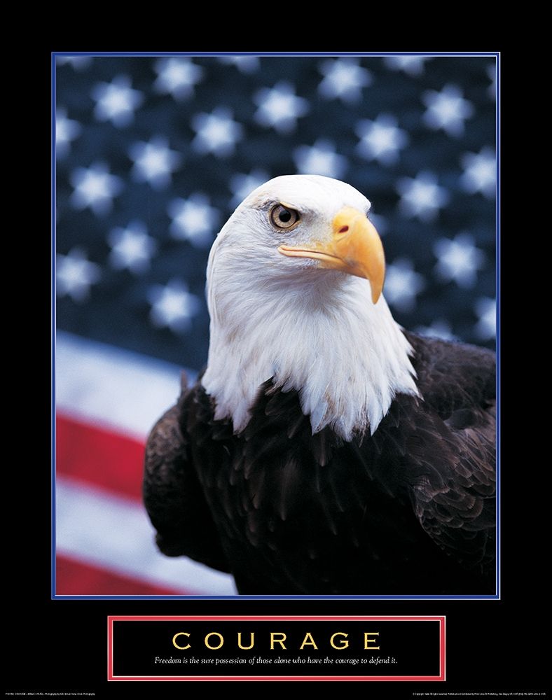 Wall Art Painting id:325785, Name: Courage - Eagle and Flag, Artist: Unknown