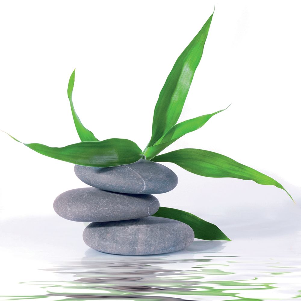 Wall Art Painting id:242619, Name: Aqua III, Artist: BRAUN Studio