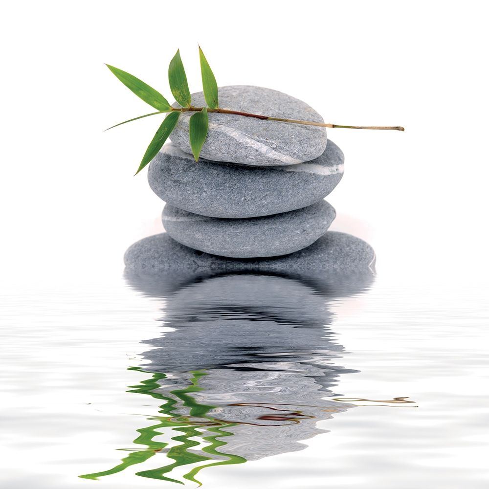 Wall Art Painting id:242620, Name: Aqua IV, Artist: BRAUN Studio