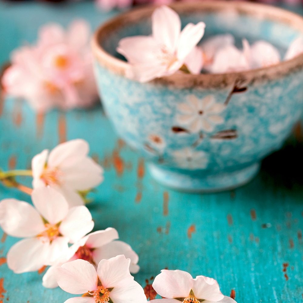 Wall Art Painting id:242628, Name: Fraicheur Matinale III, Artist: BRAUN Studio