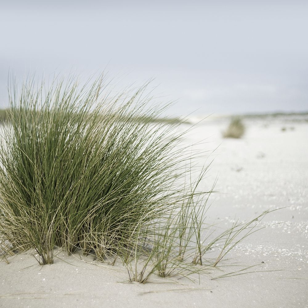 Similar wall art painting: 307063