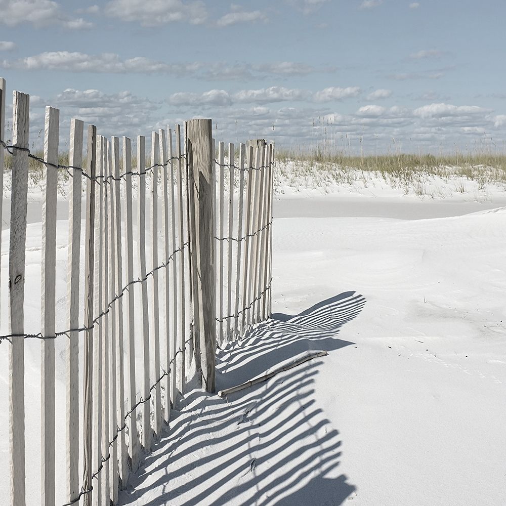 Wall Art Painting id:307064, Name: Plage 9, Artist: BRAUN Studio