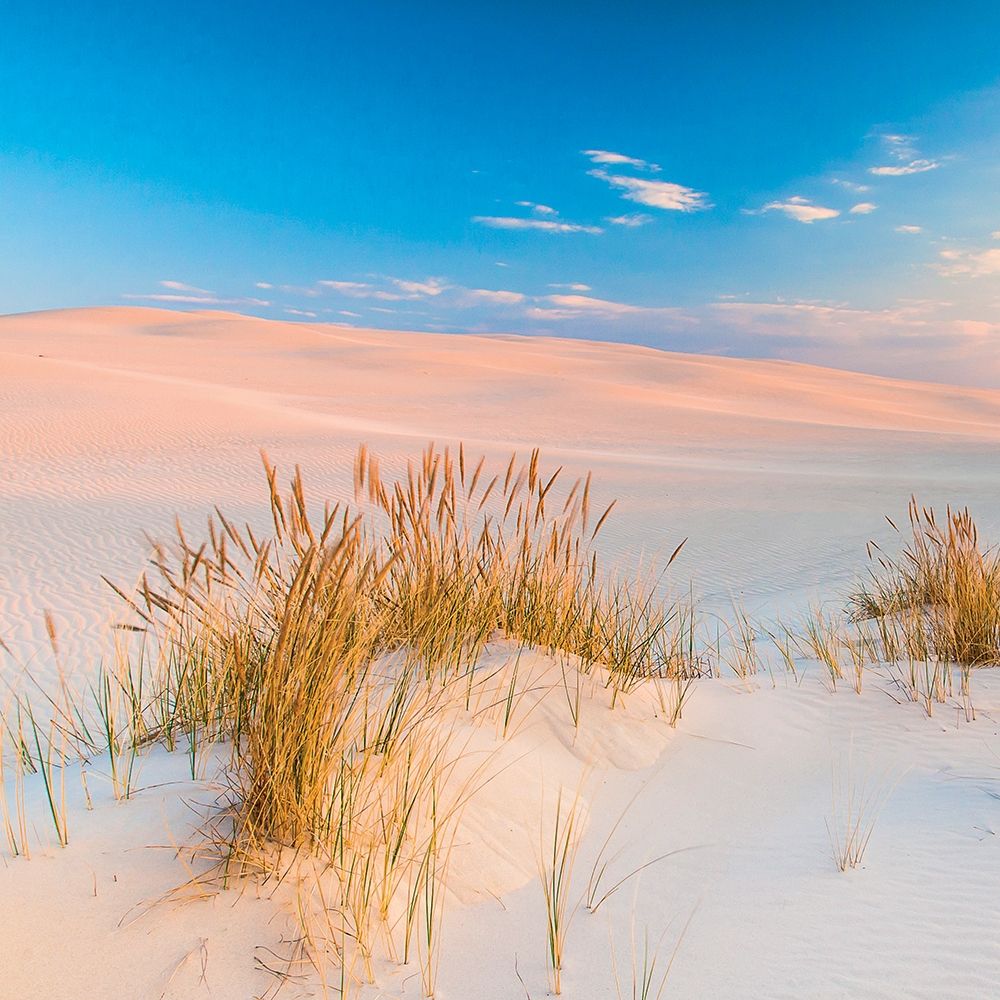 Similar wall art painting: 307076