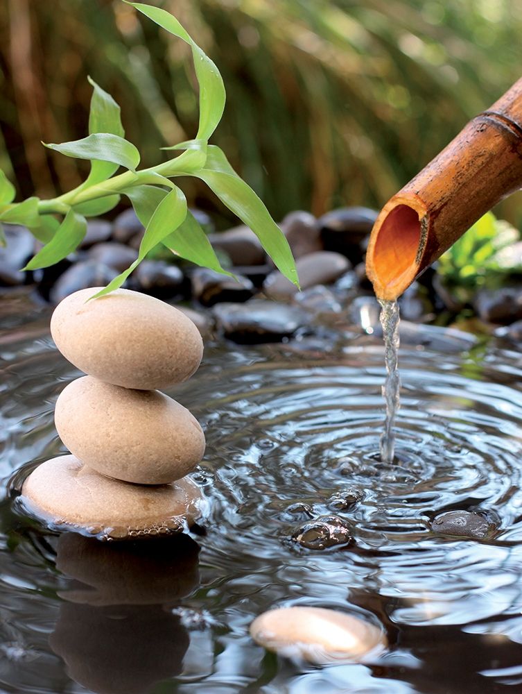 Wall Art Painting id:242617, Name: Aqua I, Artist: BRAUN Studio