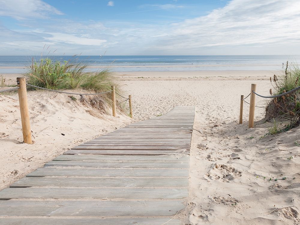 Wall Art Painting id:307080, Name: Plage, Artist: BRAUN Studio