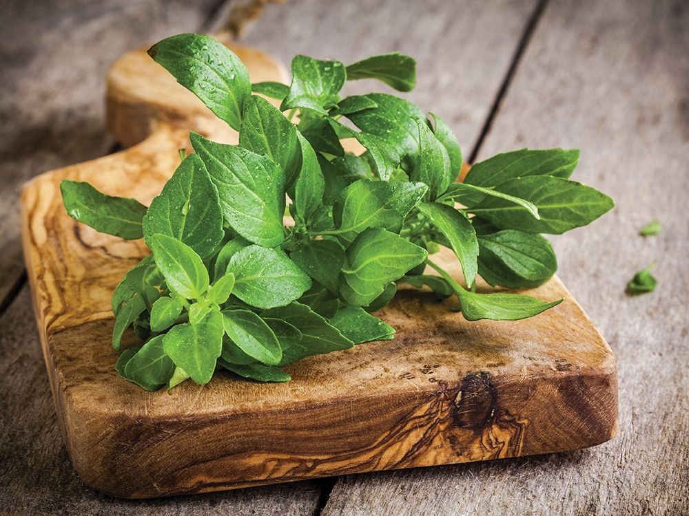 Wall Art Painting id:307082, Name: Food 1, Artist: BRAUN Studio