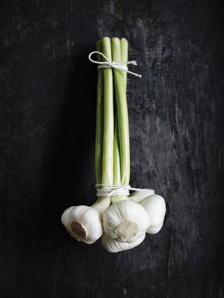 Wall Art Painting id:307084, Name: Food 4, Artist: BRAUN Studio