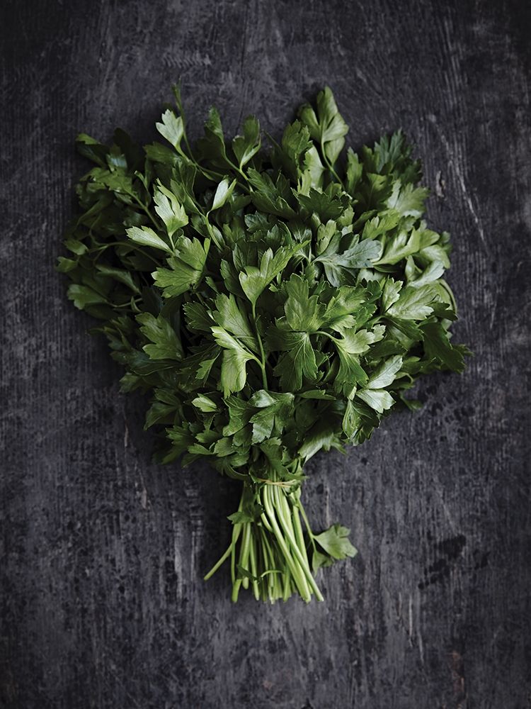 Wall Art Painting id:307086, Name: Food 6, Artist: BRAUN Studio