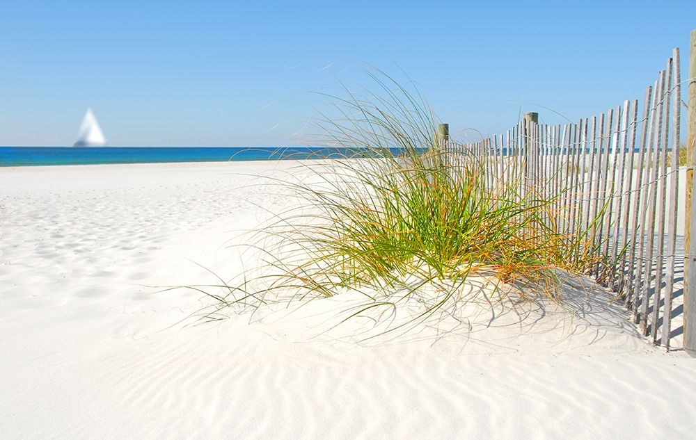 Wall Art Painting id:307136, Name: Plage V, Artist: BRAUN Studio