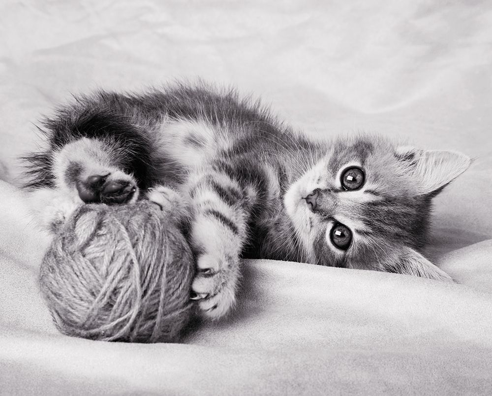 Art Print: La pelote