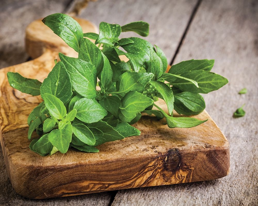 Wall Art Painting id:307146, Name: Food 1, Artist: BRAUN Studio