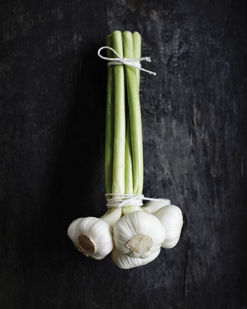 Wall Art Painting id:307148, Name: Food 4, Artist: BRAUN Studio