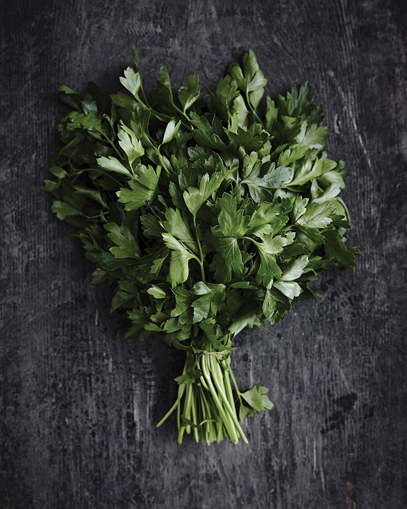 Wall Art Painting id:307150, Name: Food 6, Artist: BRAUN Studio