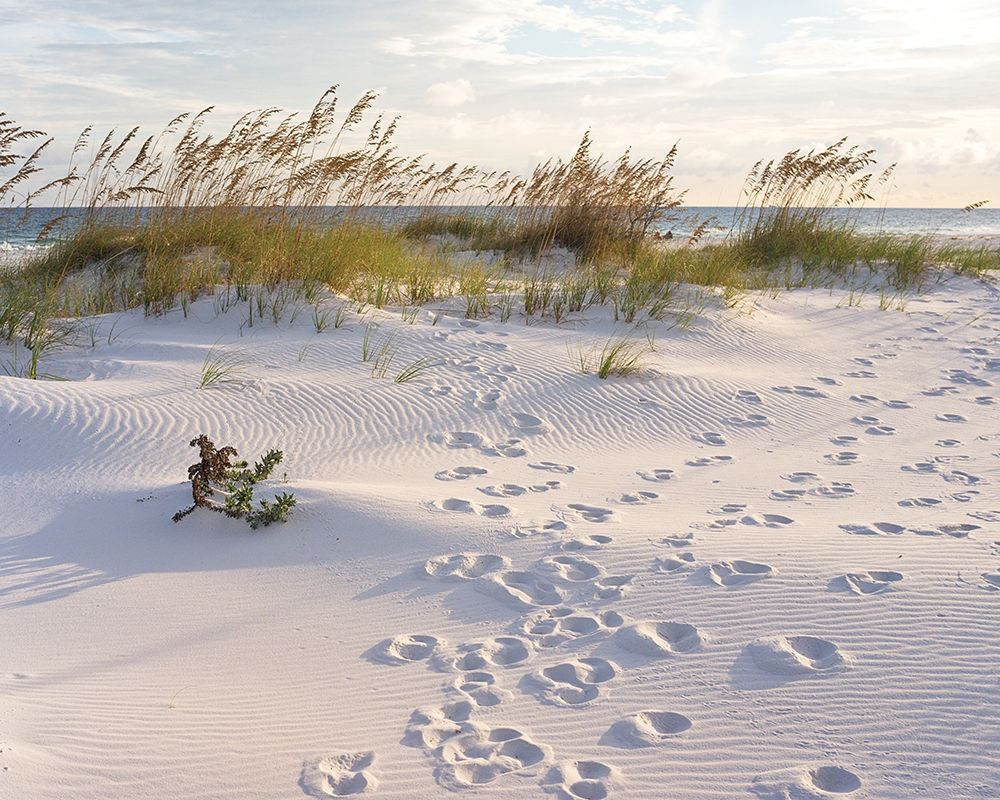 Similar wall art painting: 307156