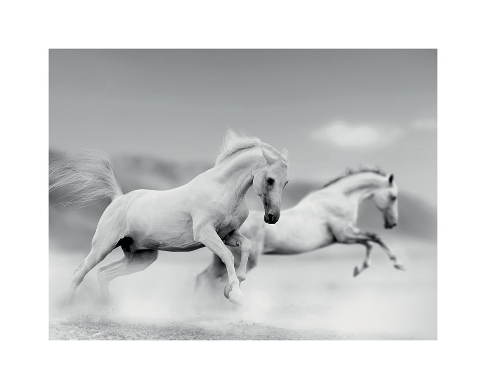 Art Print: Galops blancs