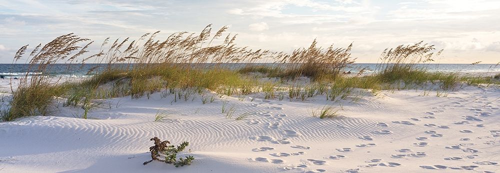 Wall Art Painting id:307173, Name: Plage 11, Artist: BRAUN Studio