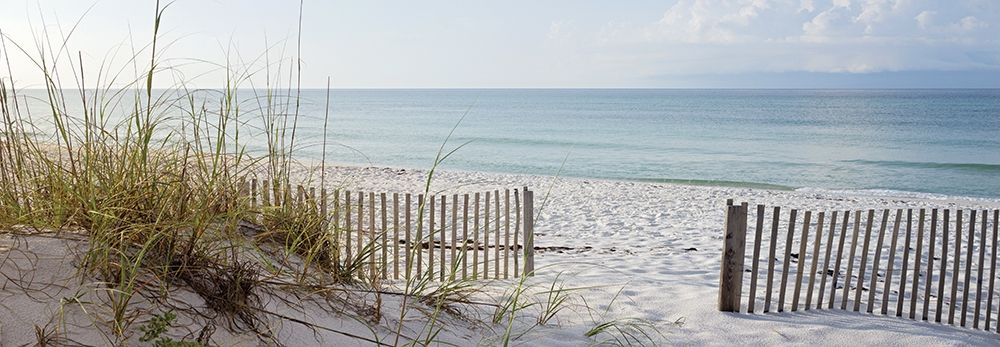 Wall Art Painting id:307174, Name: Plage 12, Artist: BRAUN Studio