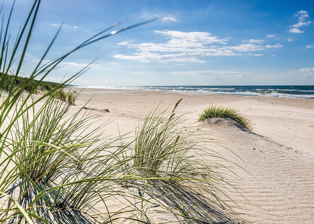 Similar wall art painting: 307246