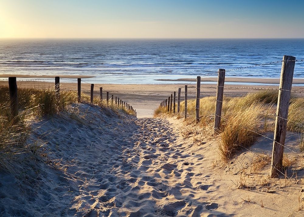 Similar wall art painting: 307247