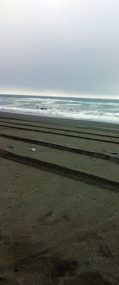 Art Print: Beach Tracks I