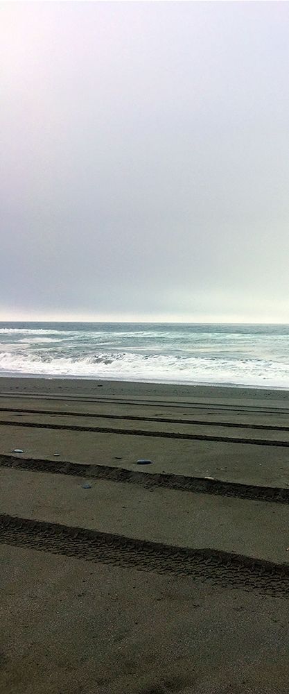 Art Print: Beach Tracks II