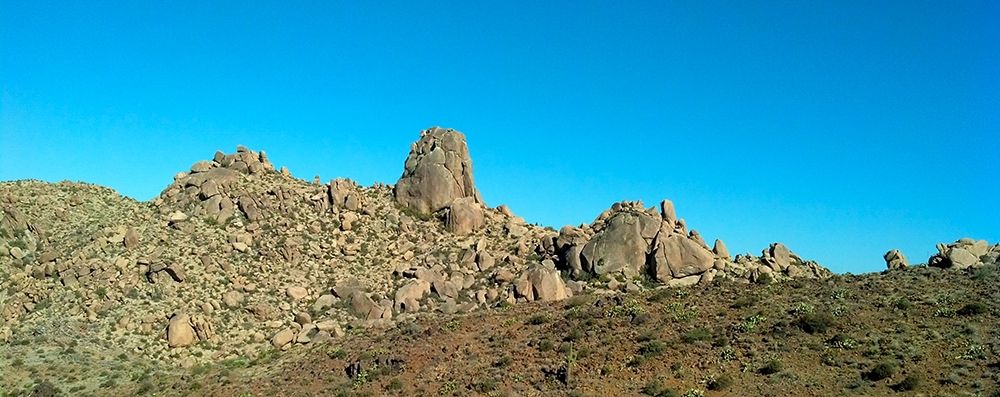 Art Print: Tom’s Thumb