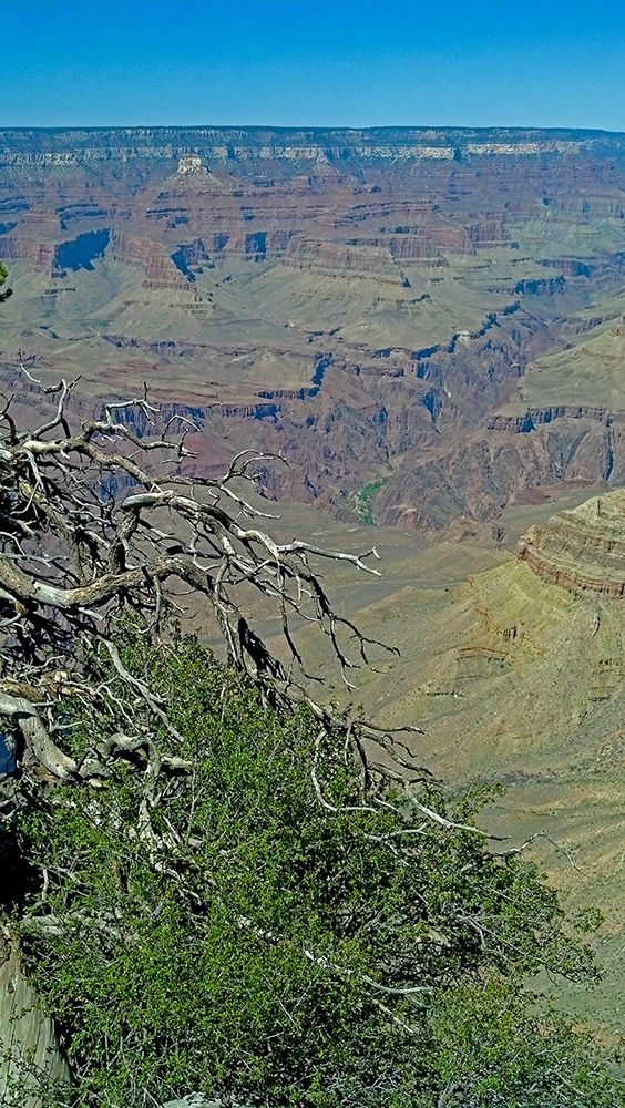 Art Print: Grand Canyon 4