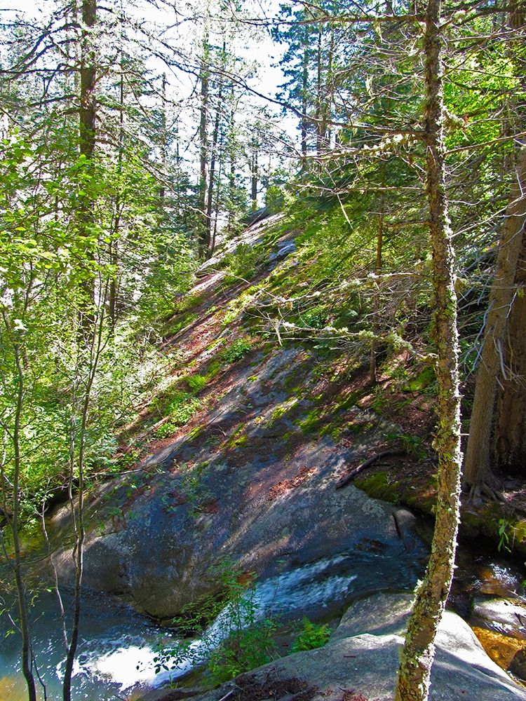 Wall art: Riparian III, by Tenoever, William