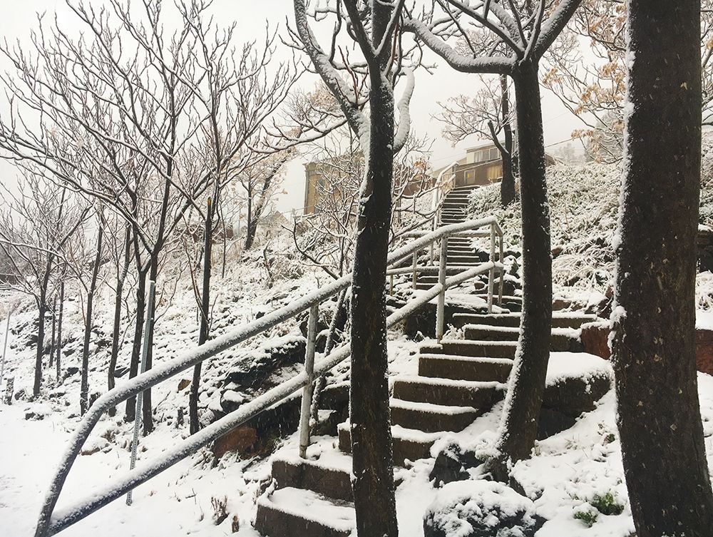 Wall Art Painting id:321478, Name: Jerome Snowy Stairs I, Artist: Tenoever, William