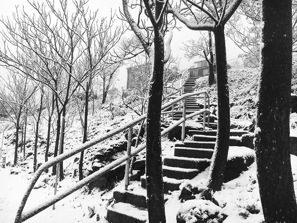 Art Print: Jerome Snowy Stairs II BandW