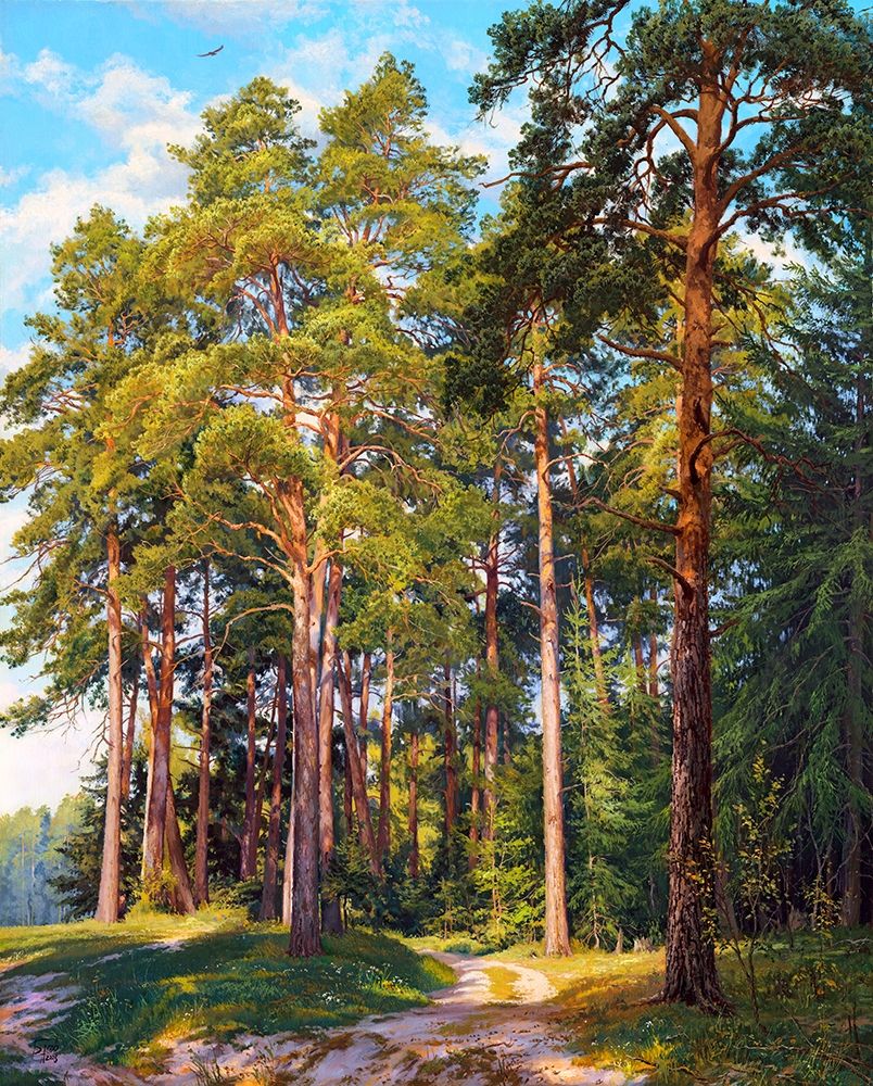 Art Print: Ship pines