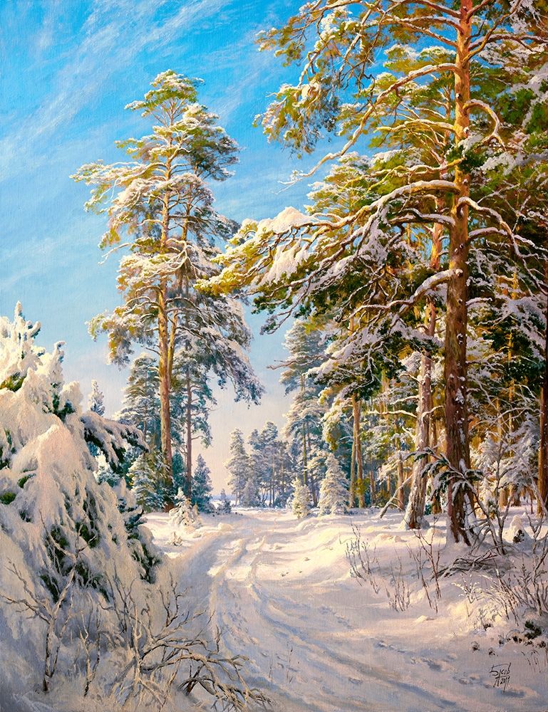 Wall art: Pine forest winter, by Basov, Sergej