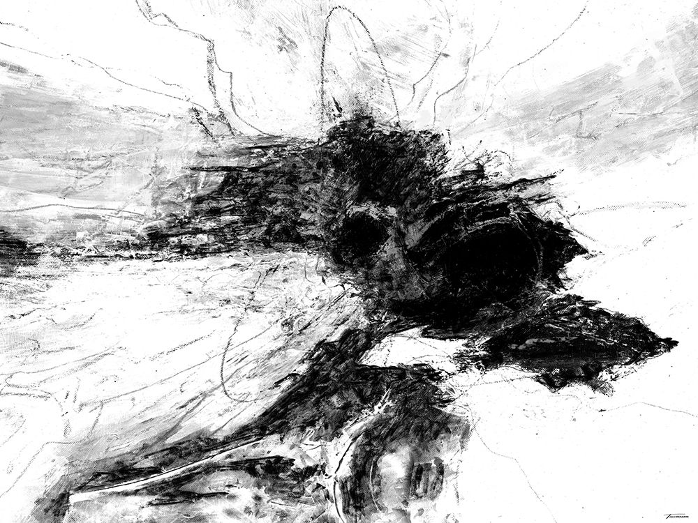 Wall art: B and W II, by Tienhaara, Michael