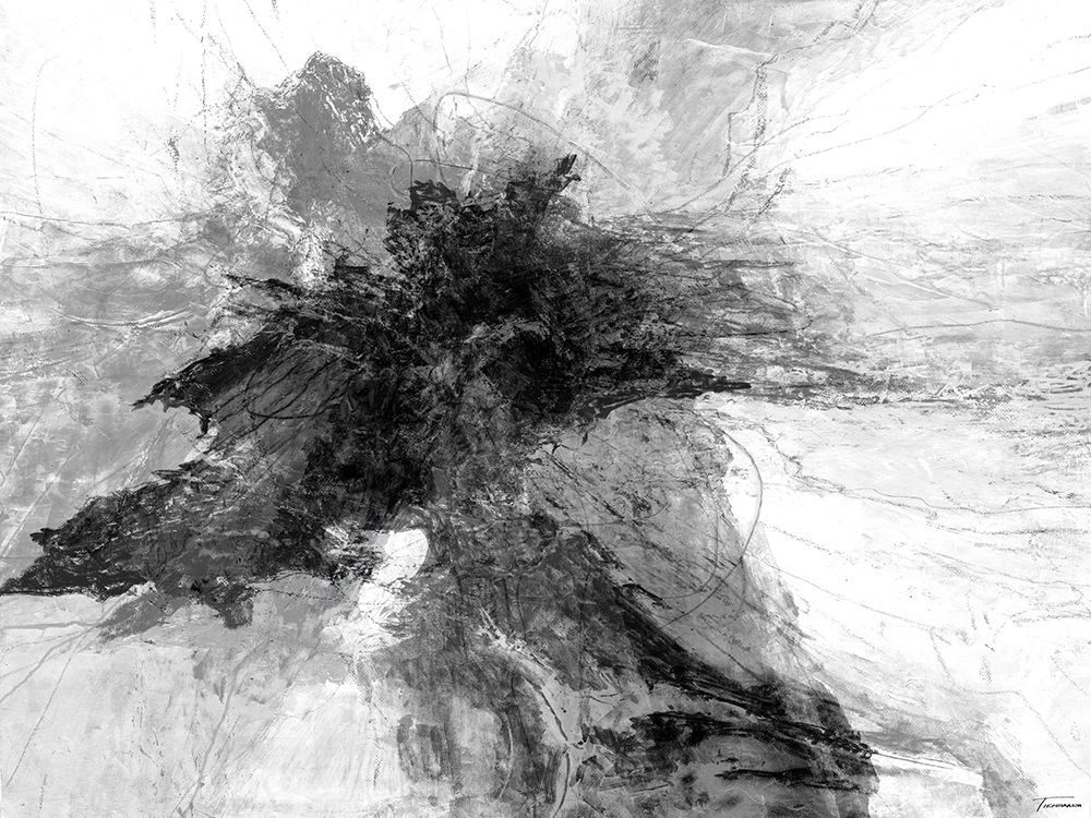 Wall art: B and W III, by Tienhaara, Michael