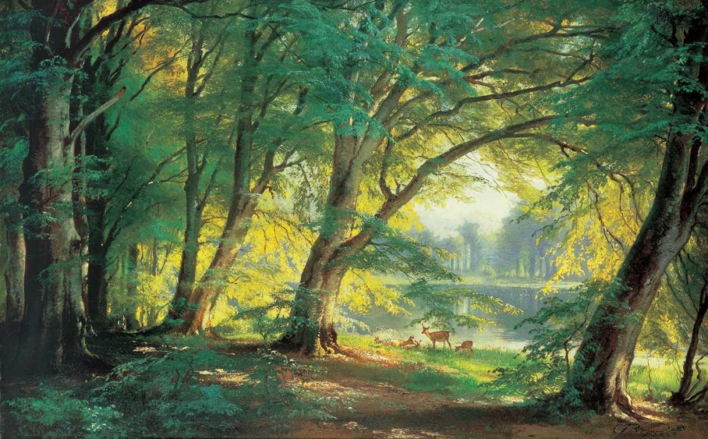 Art Print: Deer in a Forest